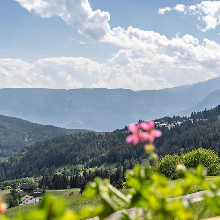 Haughof Apartement Blumenwiese Verano Екстериор снимка